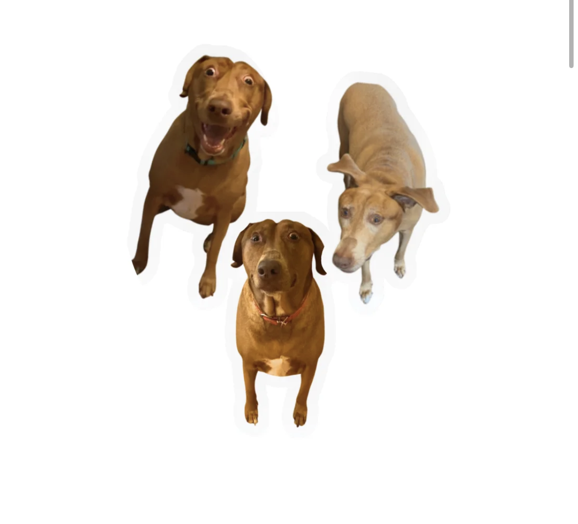 Belle Sticker Packs Are Here